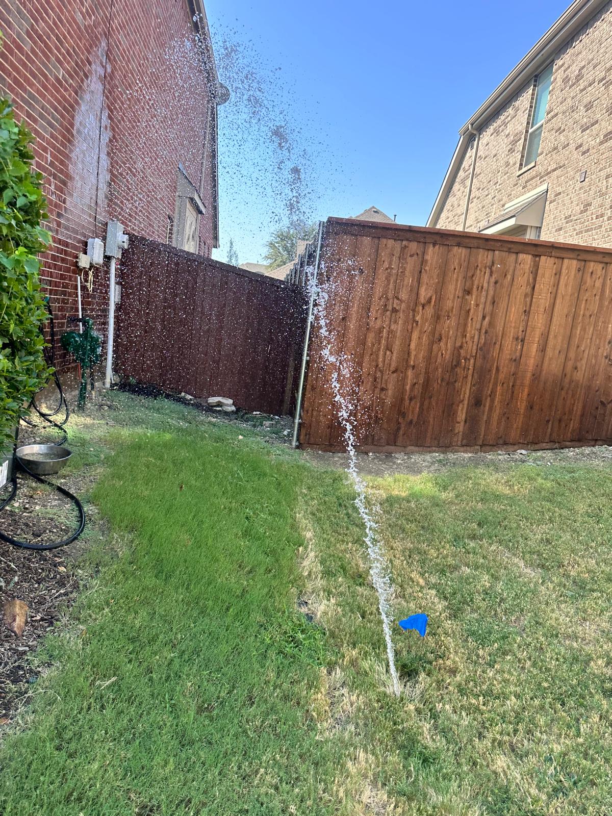 Sprinkler Inspection in Anna TX