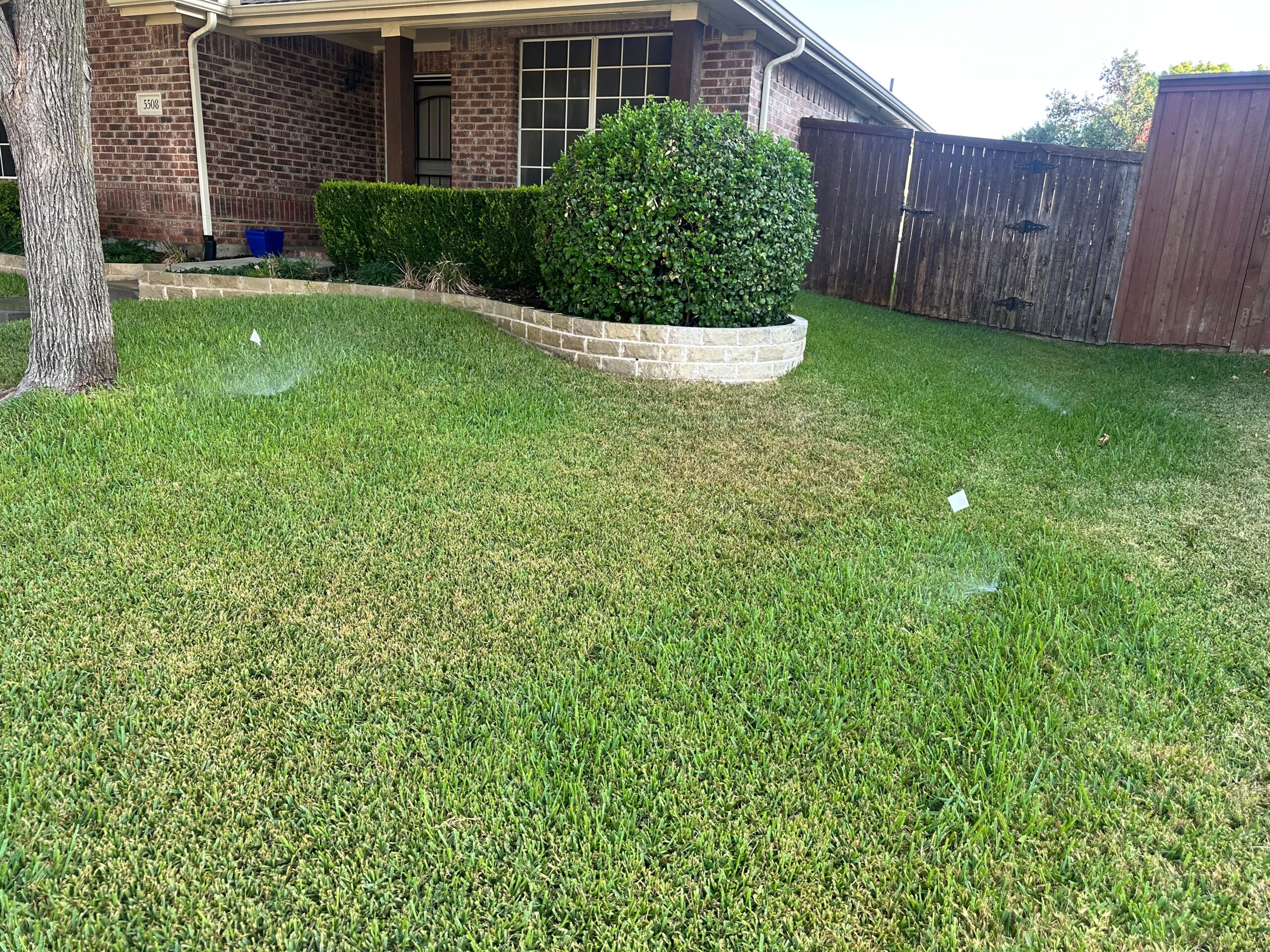 Sprinkler Runoff in Prosper TX
