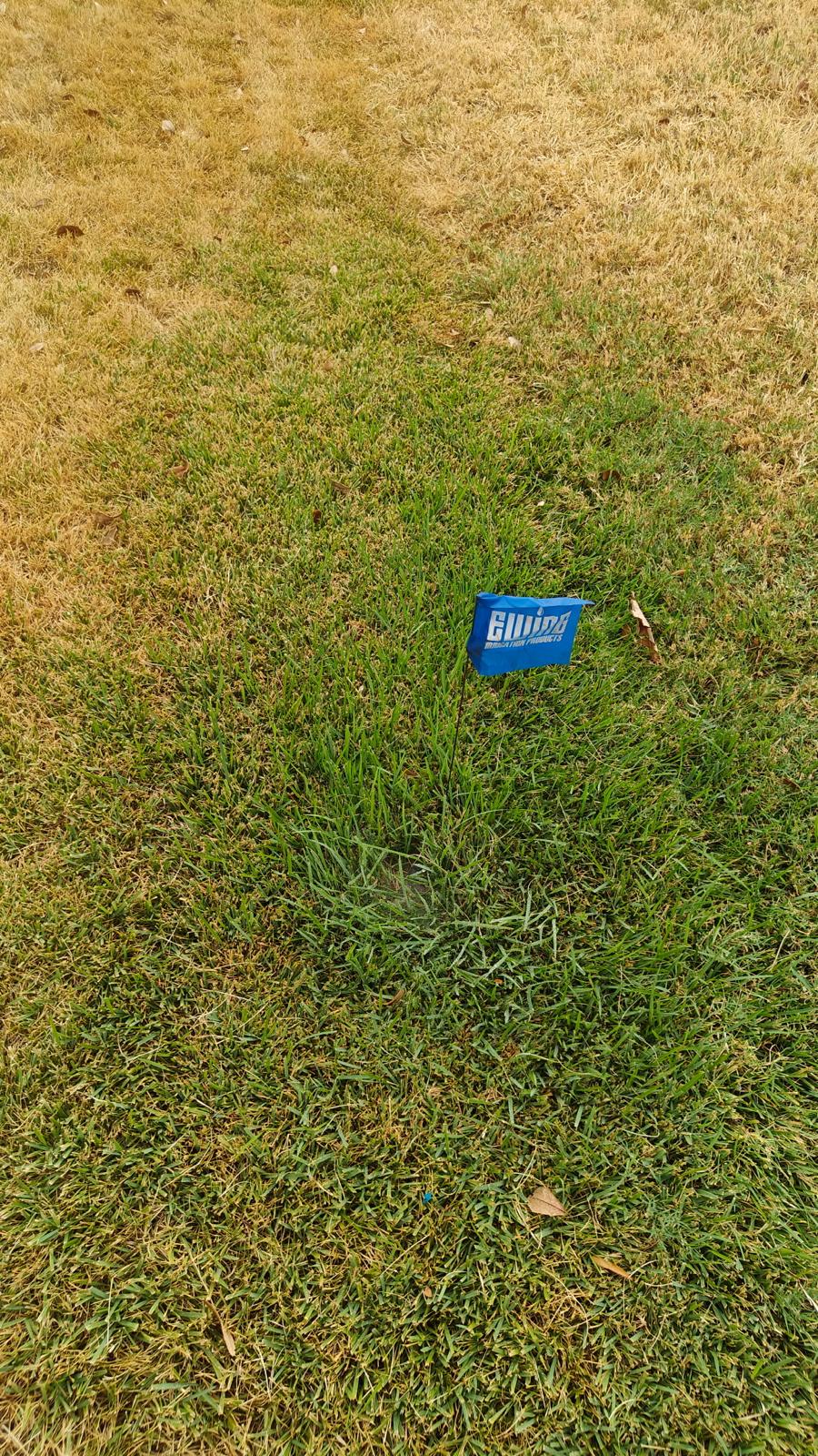 Sprinkler Service Report in The Colony TX