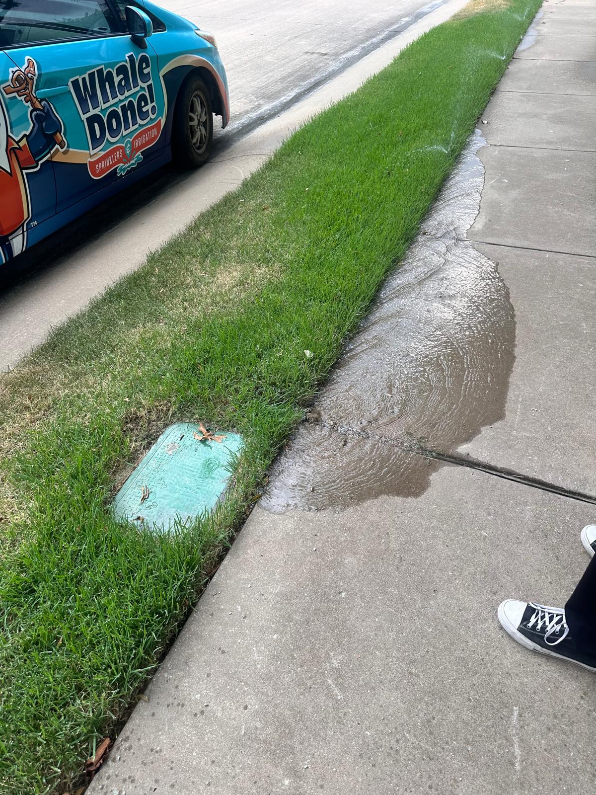 Sprinklers Run in Plano TX