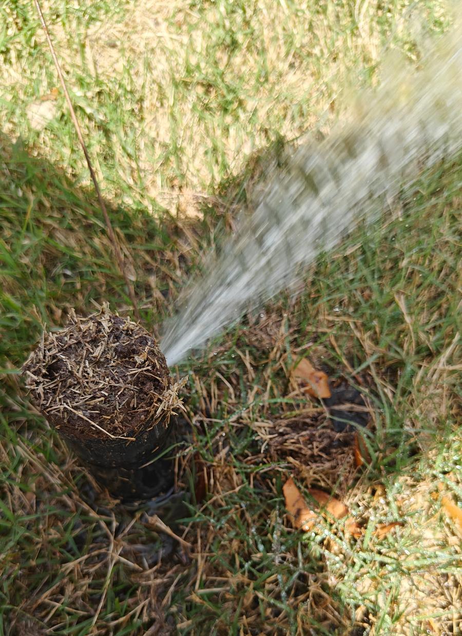 Broken Sprinkler Head in Princeton TX