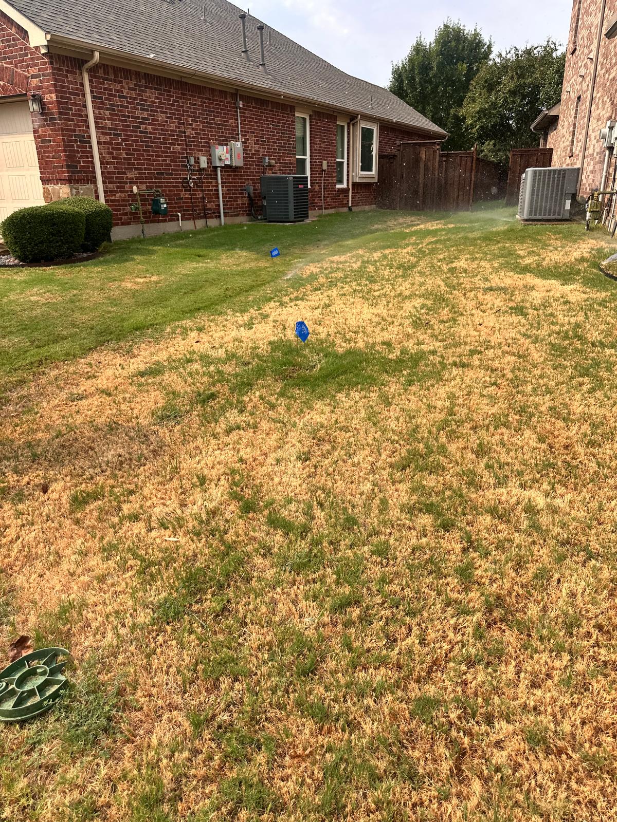 Fall Irrigation System Inspection in Little Elm TX
