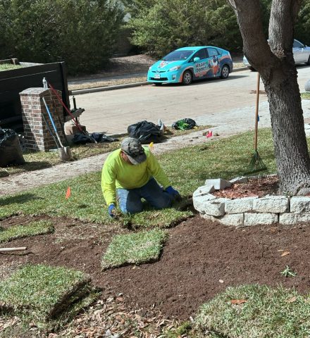 The Colony sod installation services