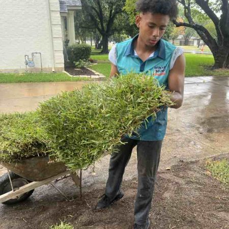 sod installation in melissa