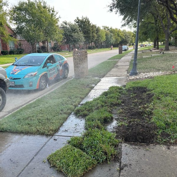 sod installation in prosper